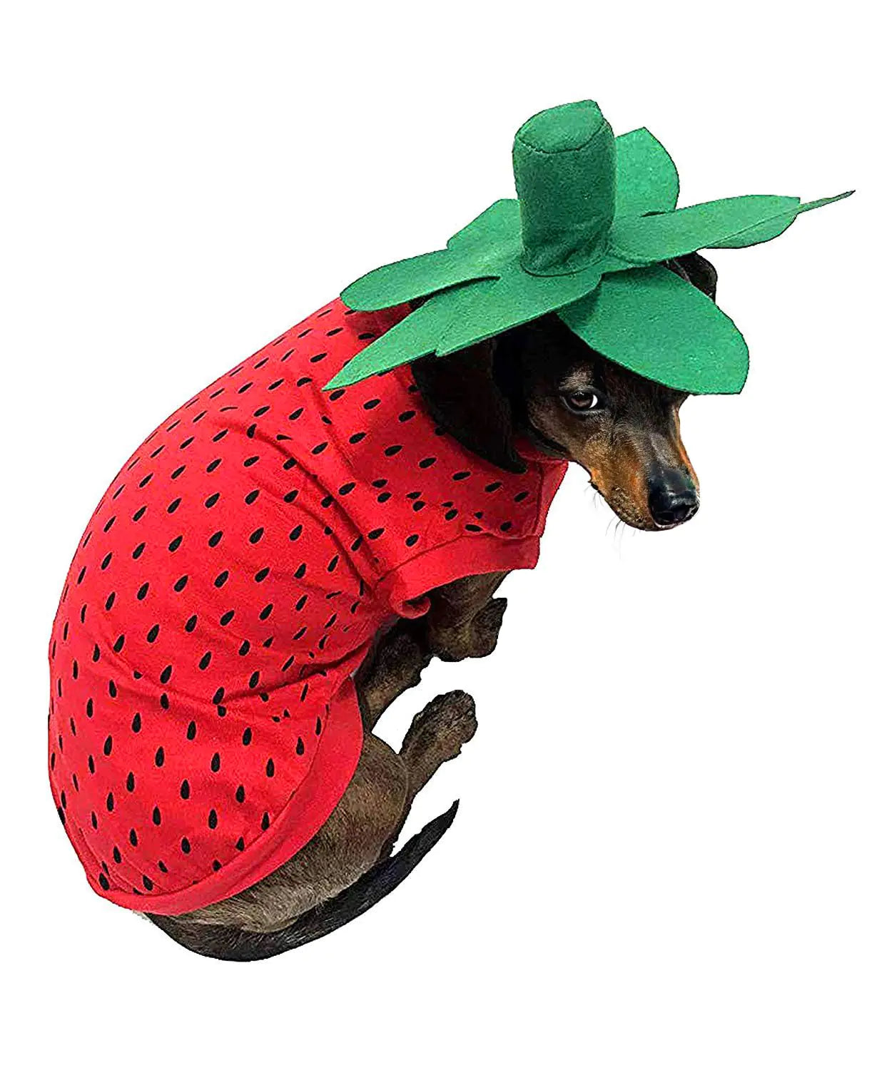 π Pet Strawberry Costume β Cute Dog & Cat Outfit for Halloween, Christmas & Parties