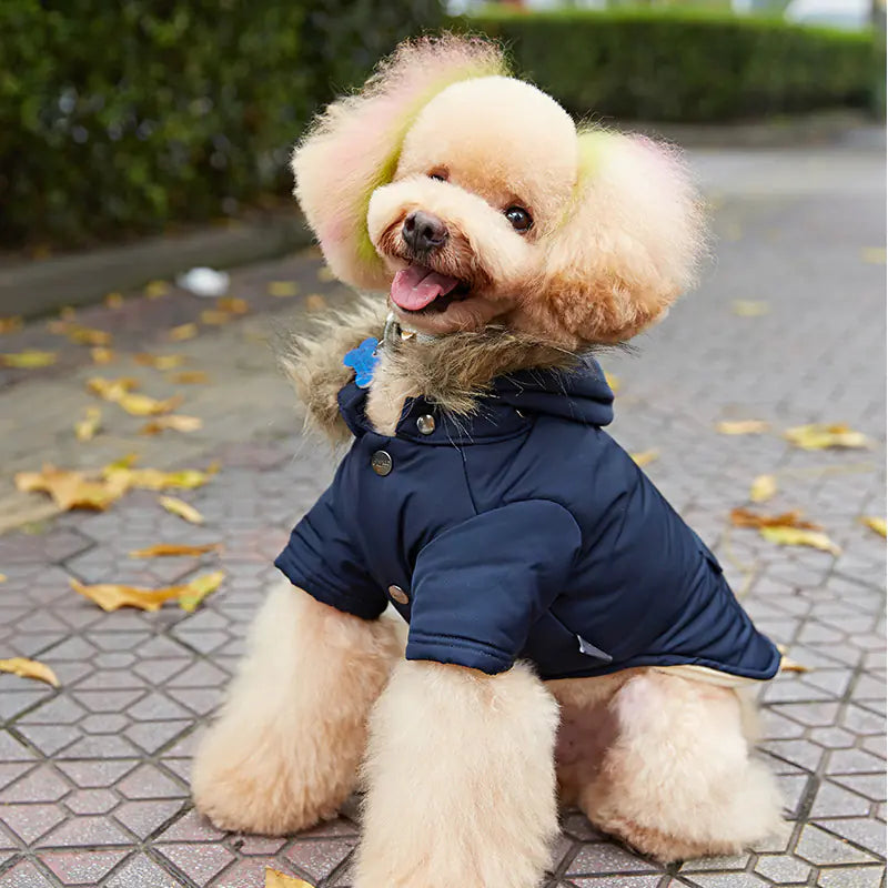 🐶Hooded Down Jacket for Dogs – Warm, Stylish Pet Winter Coat with Breathable Comfort