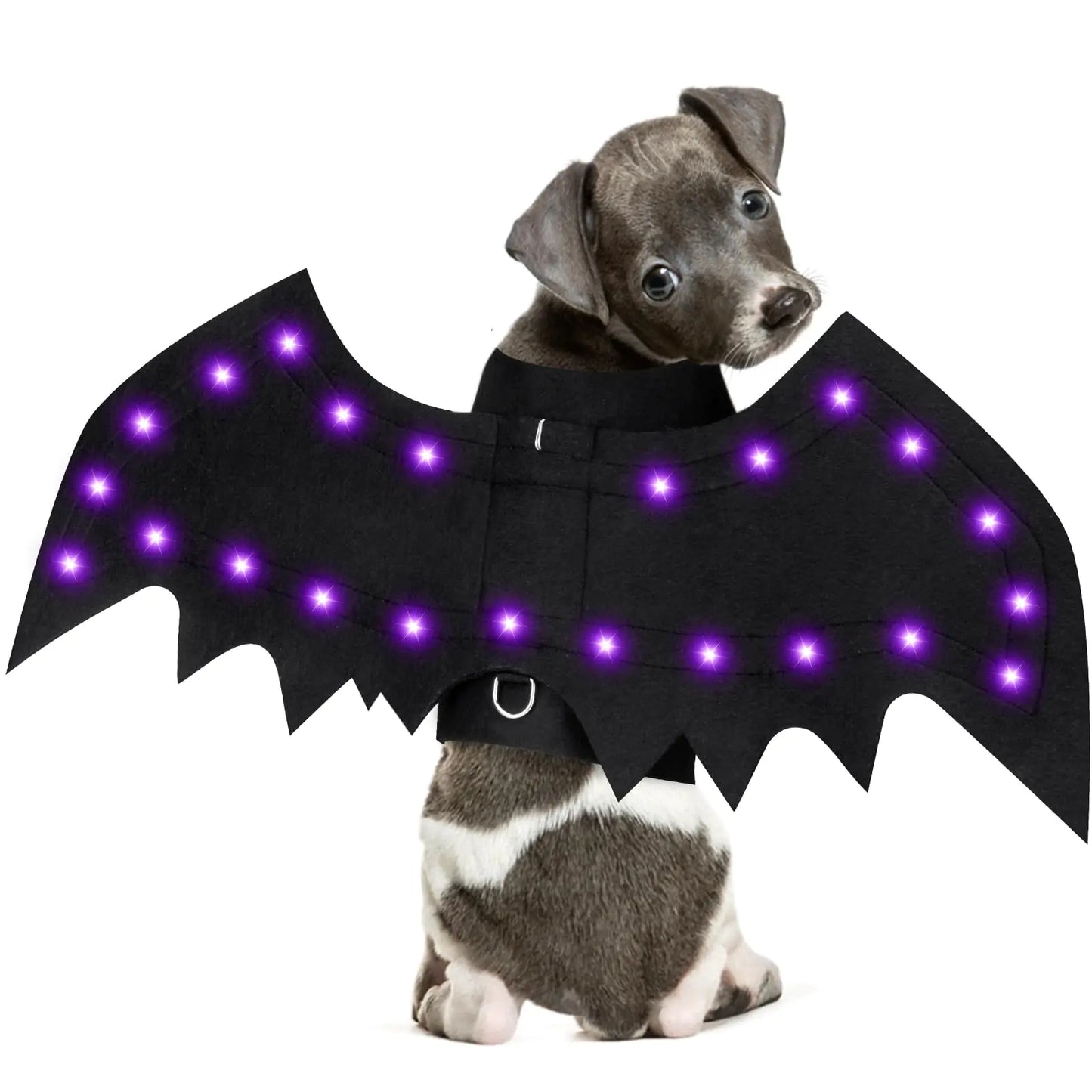 🦇 Yoochee Light-Up Bat Wings Costume – Glowing Pet Outfit for Halloween Parties