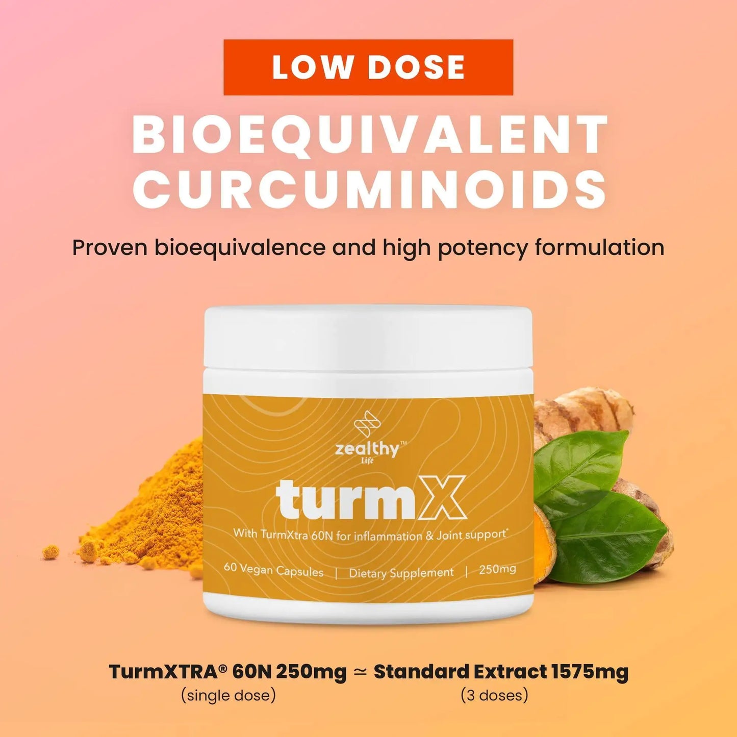 Turmeric Supplement
