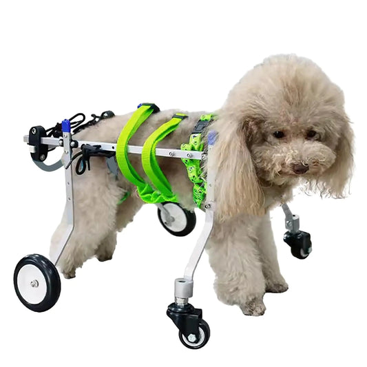 ENHEN Dog Wheelchair 4-Wheel Full Support Pet Rehab Cart – XS Widen – Aluminum Frame, Soft Harnesses, Rolling Support for Disabled Hind Legs (Cat & Small Dog)