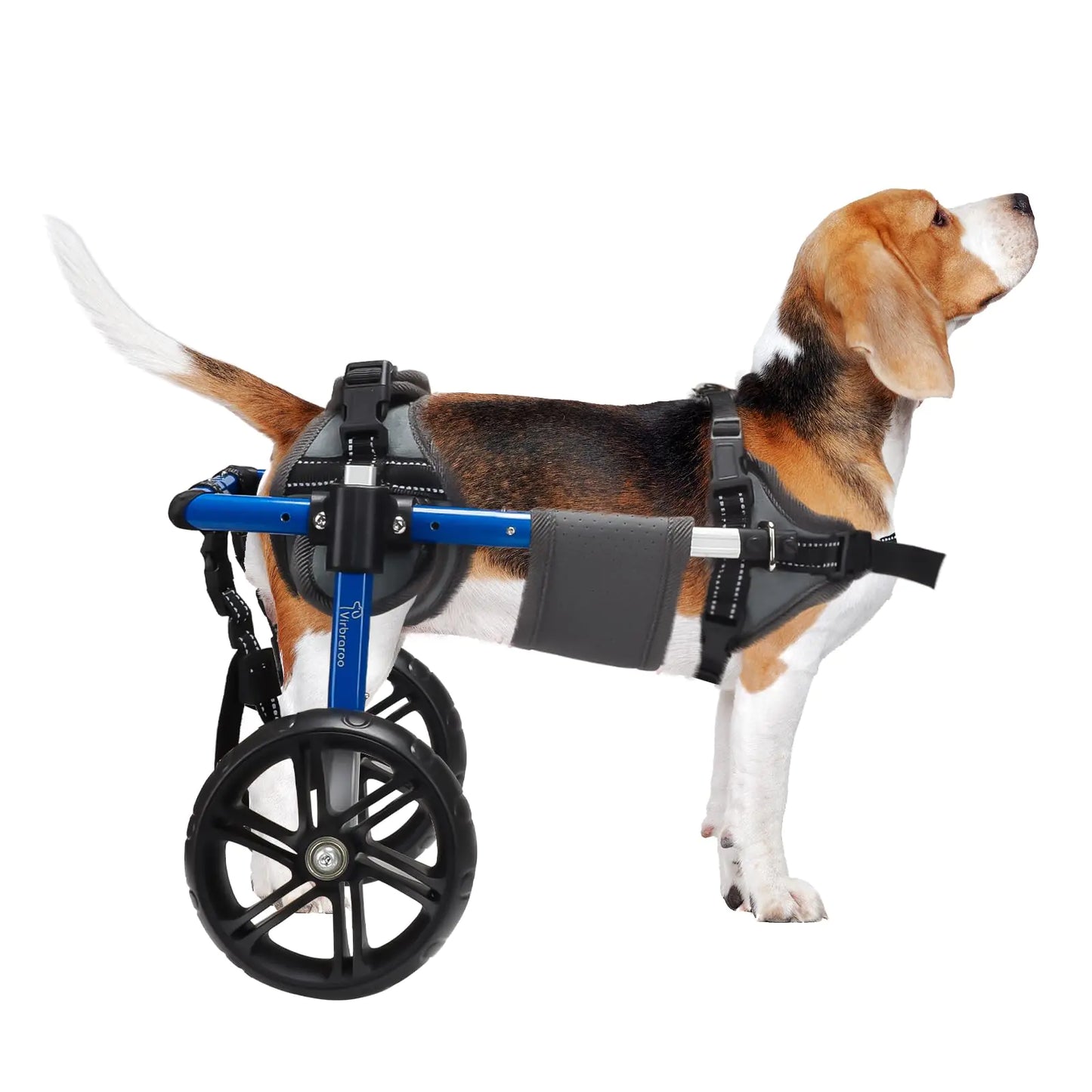 Virbraroo Dog Wheelchair for Back Legs with Upgraded All-Terrain Tires & Durable Bearings – Adjustable Pet Mobility Aid for Small Dogs (11.8"-17.7" Length, 22-35 lbs) – 2024 Design