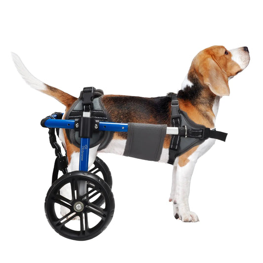 Virbraroo Dog Wheelchair for Back Legs with Upgraded All-Terrain Tires & Durable Bearings – Adjustable Pet Mobility Aid for Small Dogs (11.8"-17.7" Length, 22-35 lbs) – 2024 Design